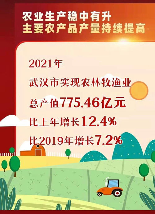 超1.7万亿元 武汉2021年GDP同比增长12.2